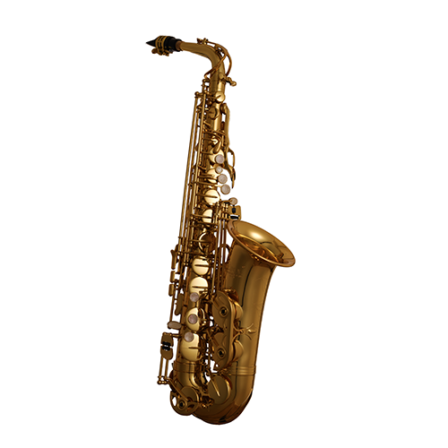 CAS-300G